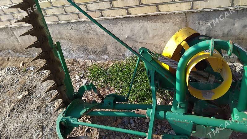 kasylka - Tejen - img 2