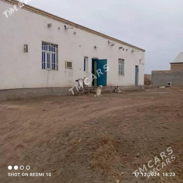 jay satlyk - Гурбансолтан Едже - img 4