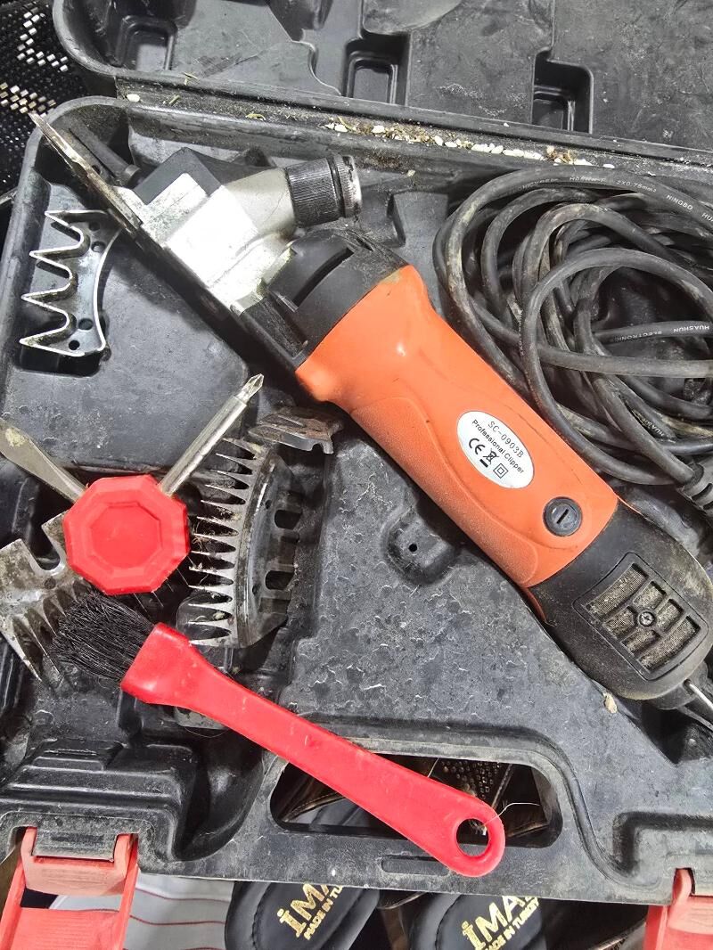 goyun gyrkylyk - Ашхабад - img 2