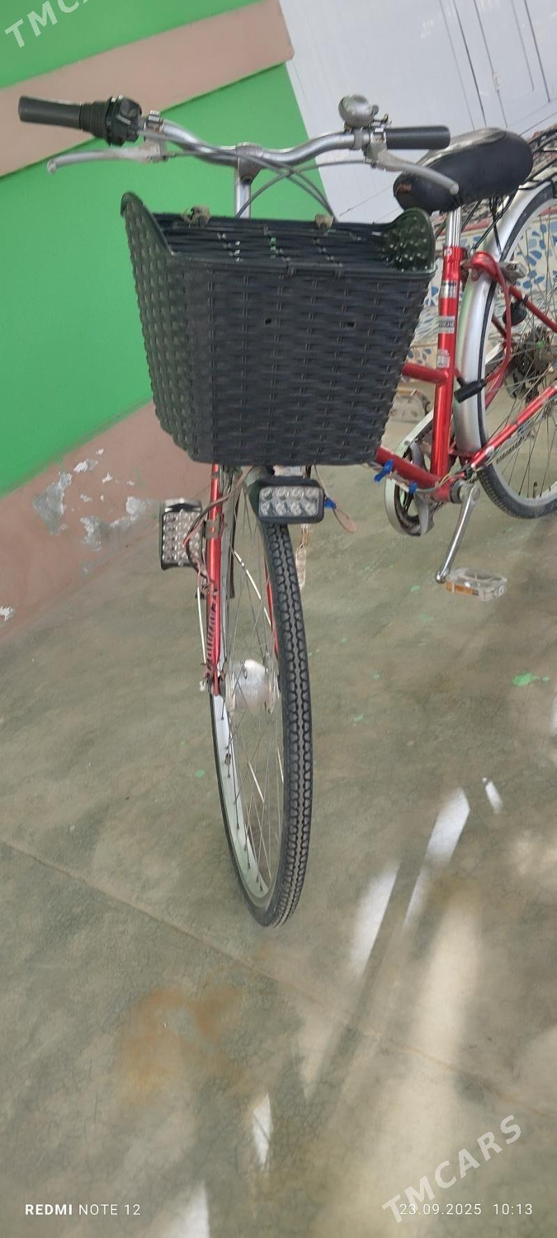 weloseped - Сакарчага - img 4