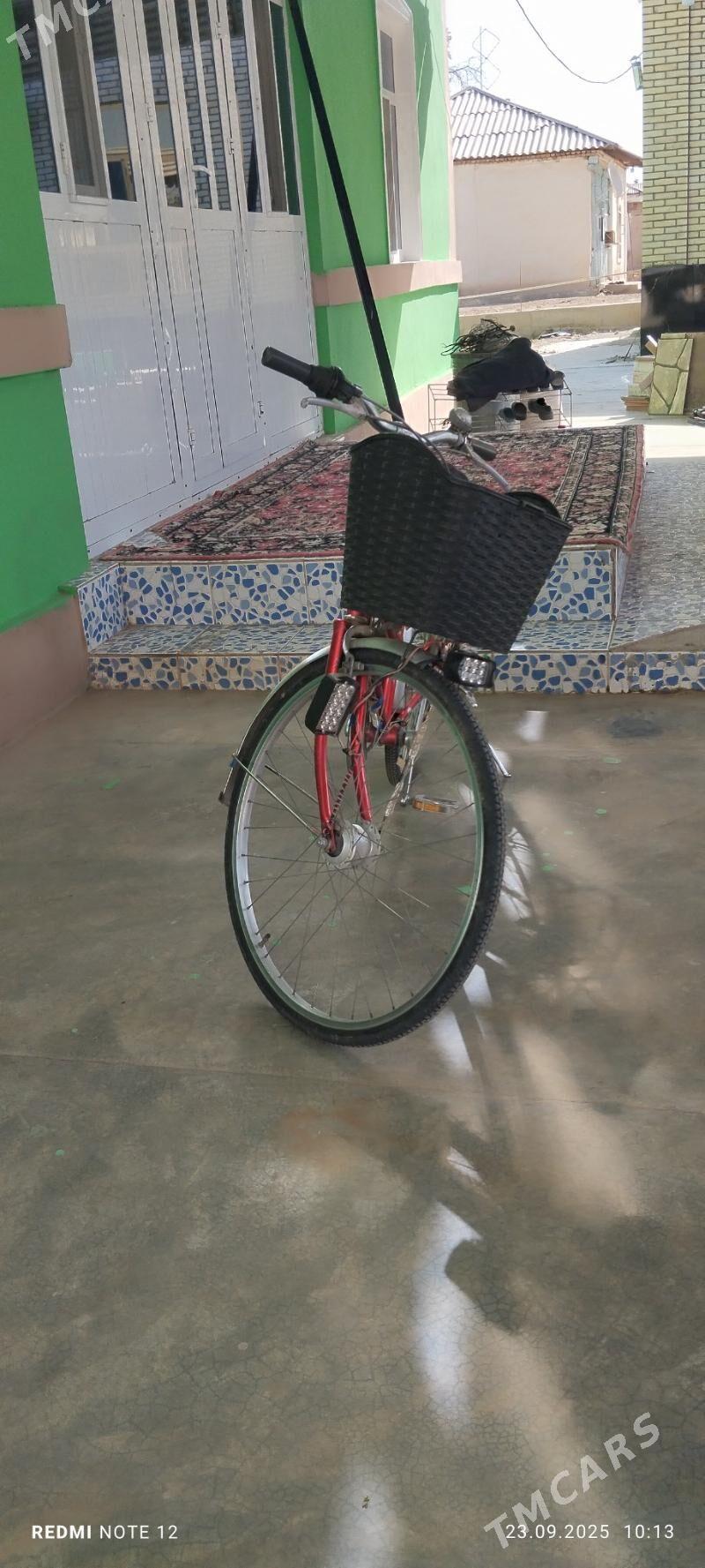 weloseped - Сакарчага - img 3