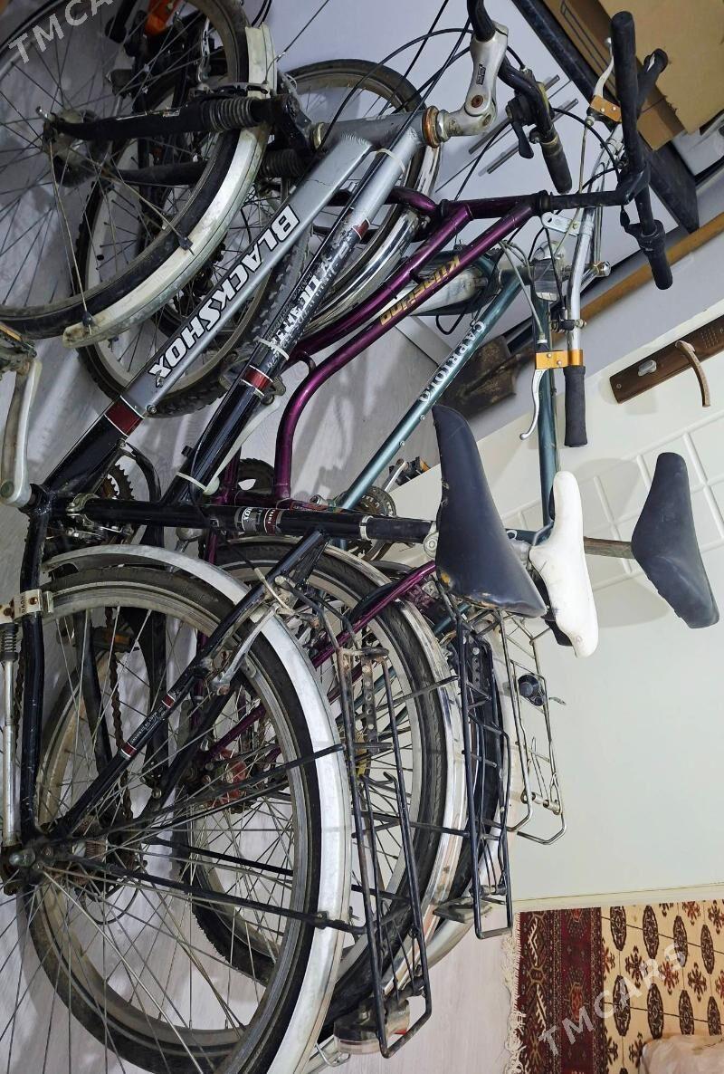 Welasiped - Туркменабат - img 7