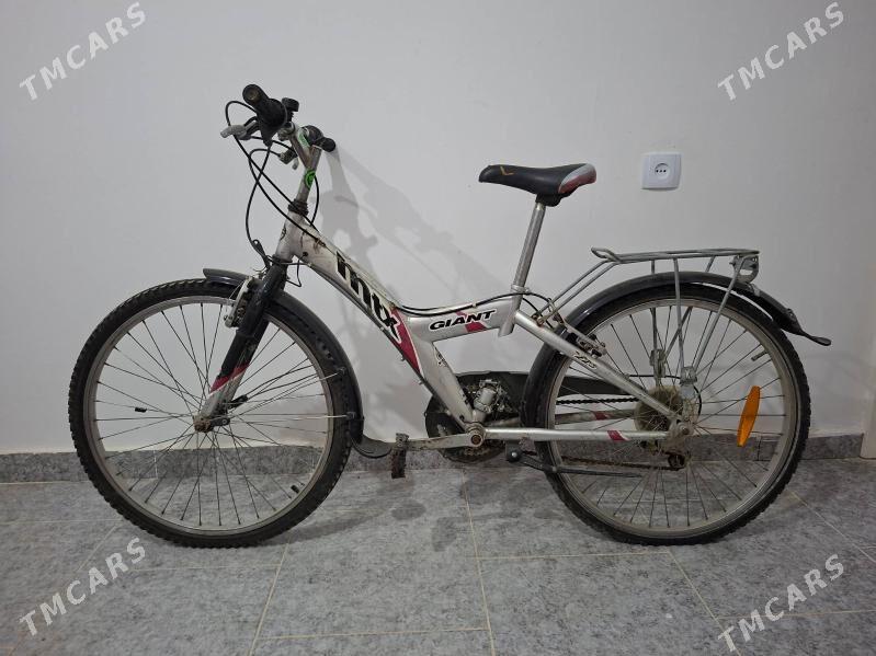 Welasiped - Туркменабат - img 8