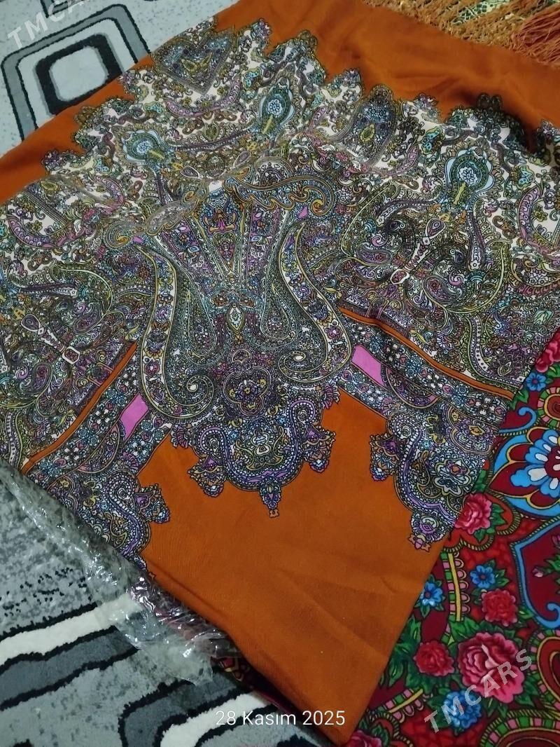 cargat - Gumdag - img 1