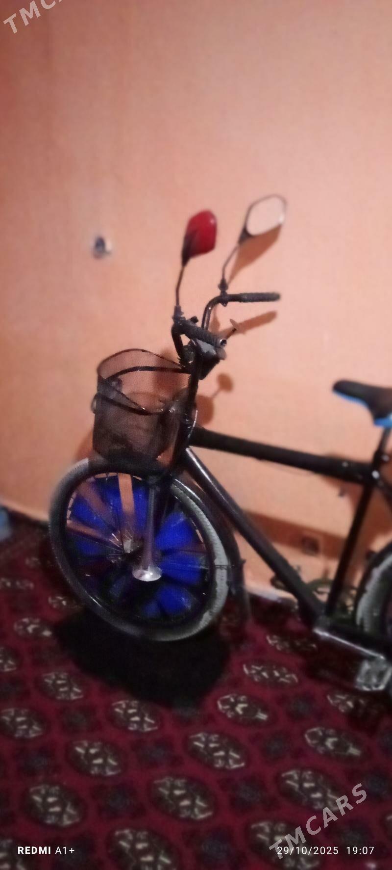 Tigir - Kaka - img 1