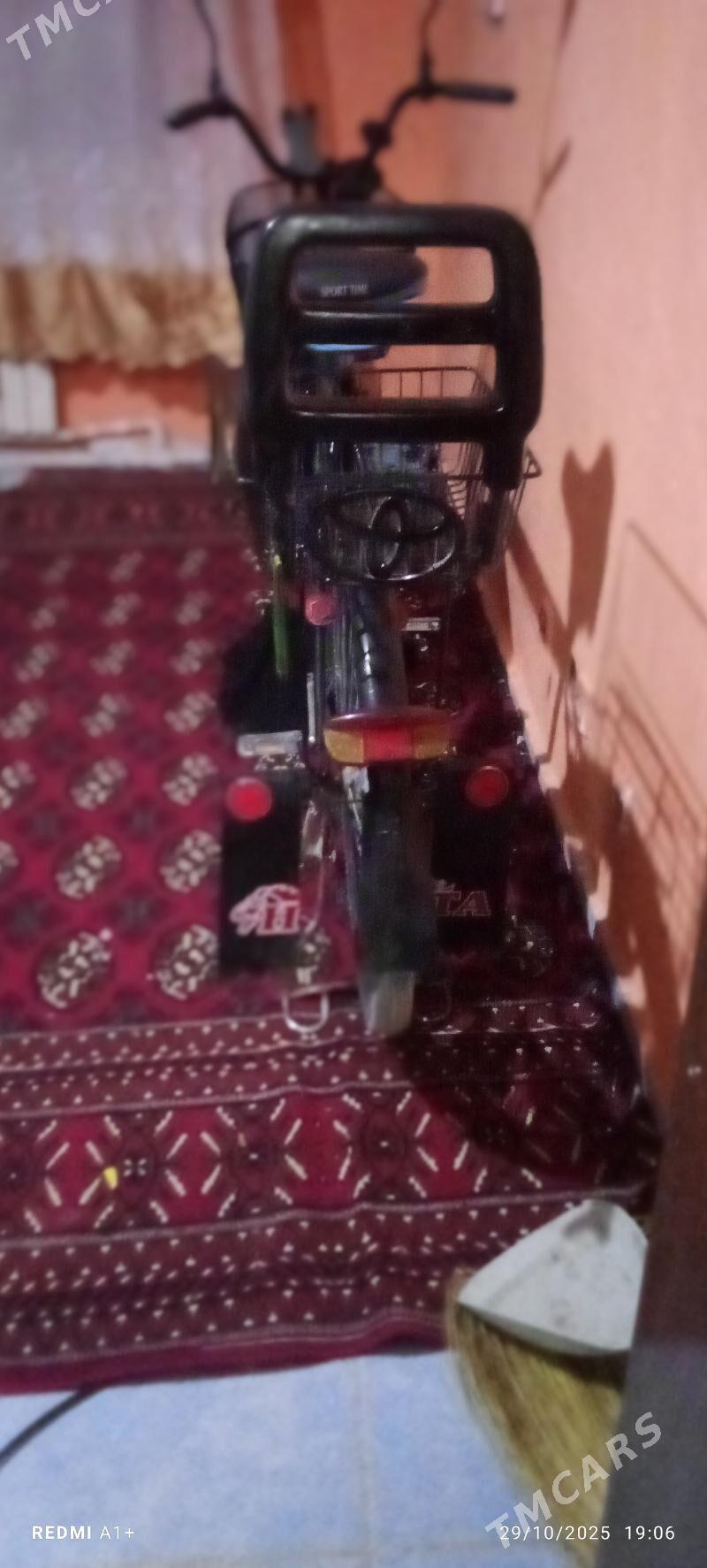 Tigir - Kaka - img 4