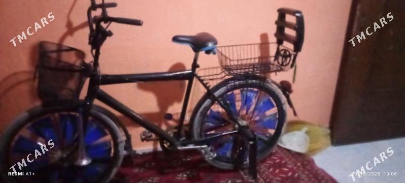 Tigir - Kaka - img 3