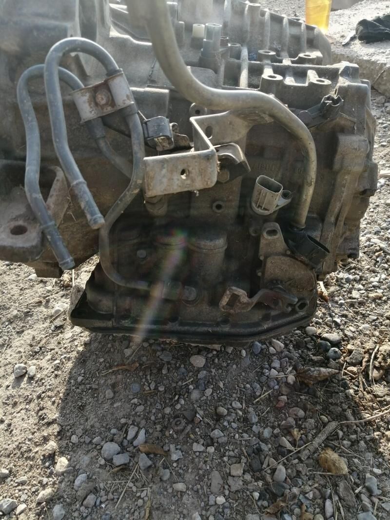 Sienna karopka 1 200 TMT - Бабадайхан - img 3