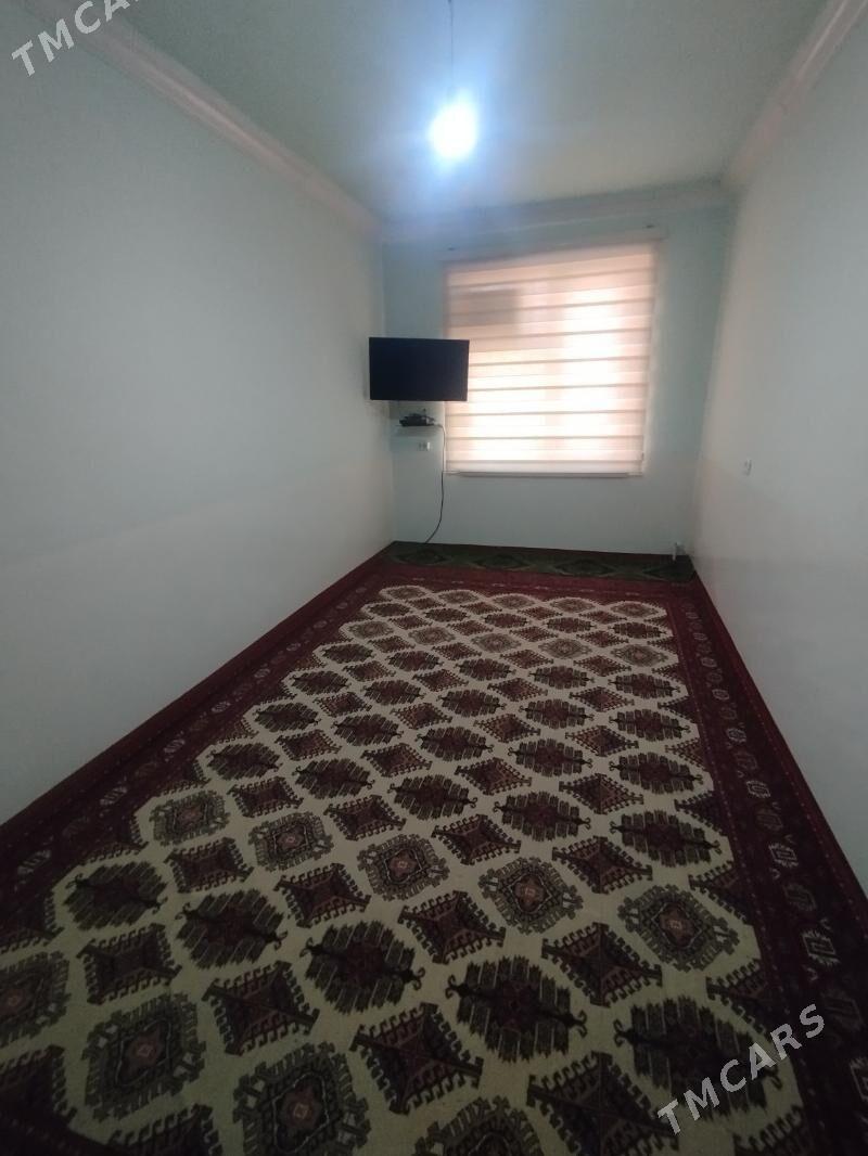 Satlyk jay - Mary - img 3