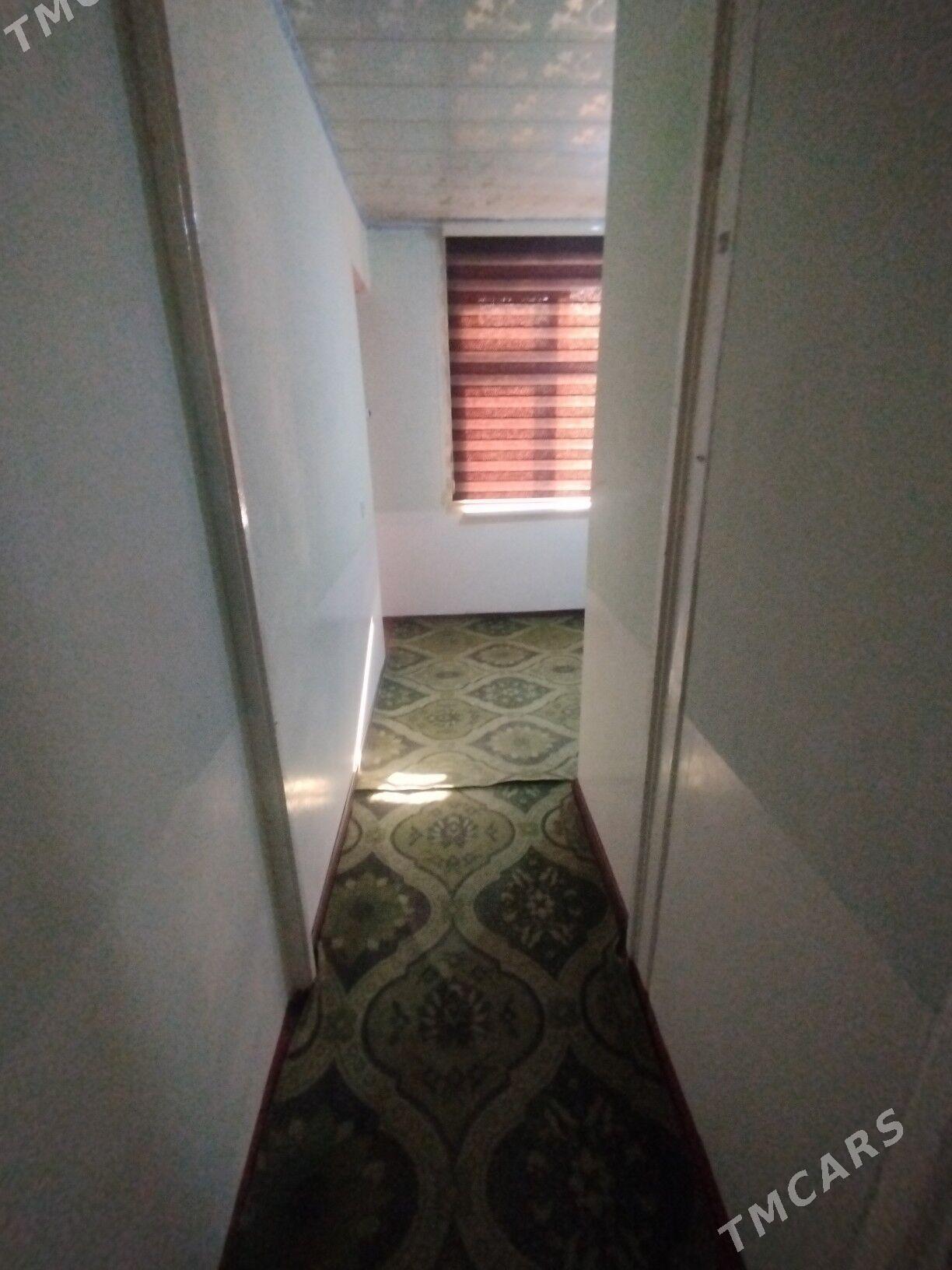 Satlyk jay - Mary - img 5