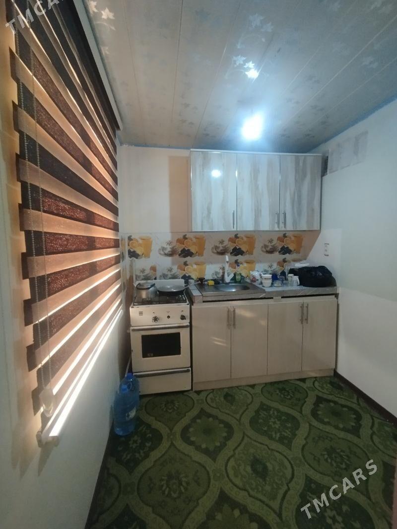 Satlyk jay - Mary - img 6