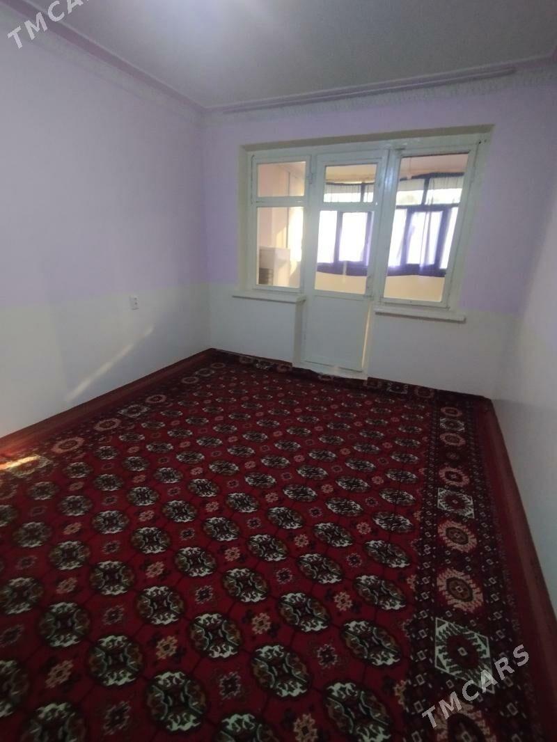 Satlyk jay - Mary - img 2