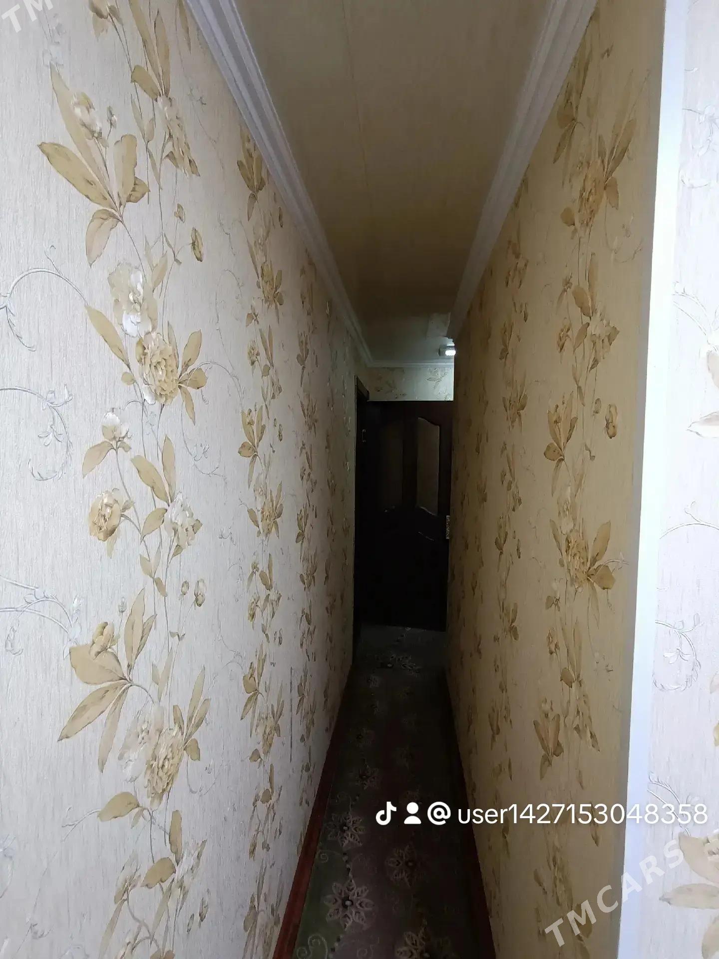 Satlyk jay - Mary - img 9