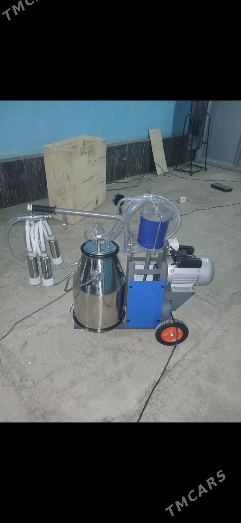 sygyr sagyan enjam - Достлук - img 2