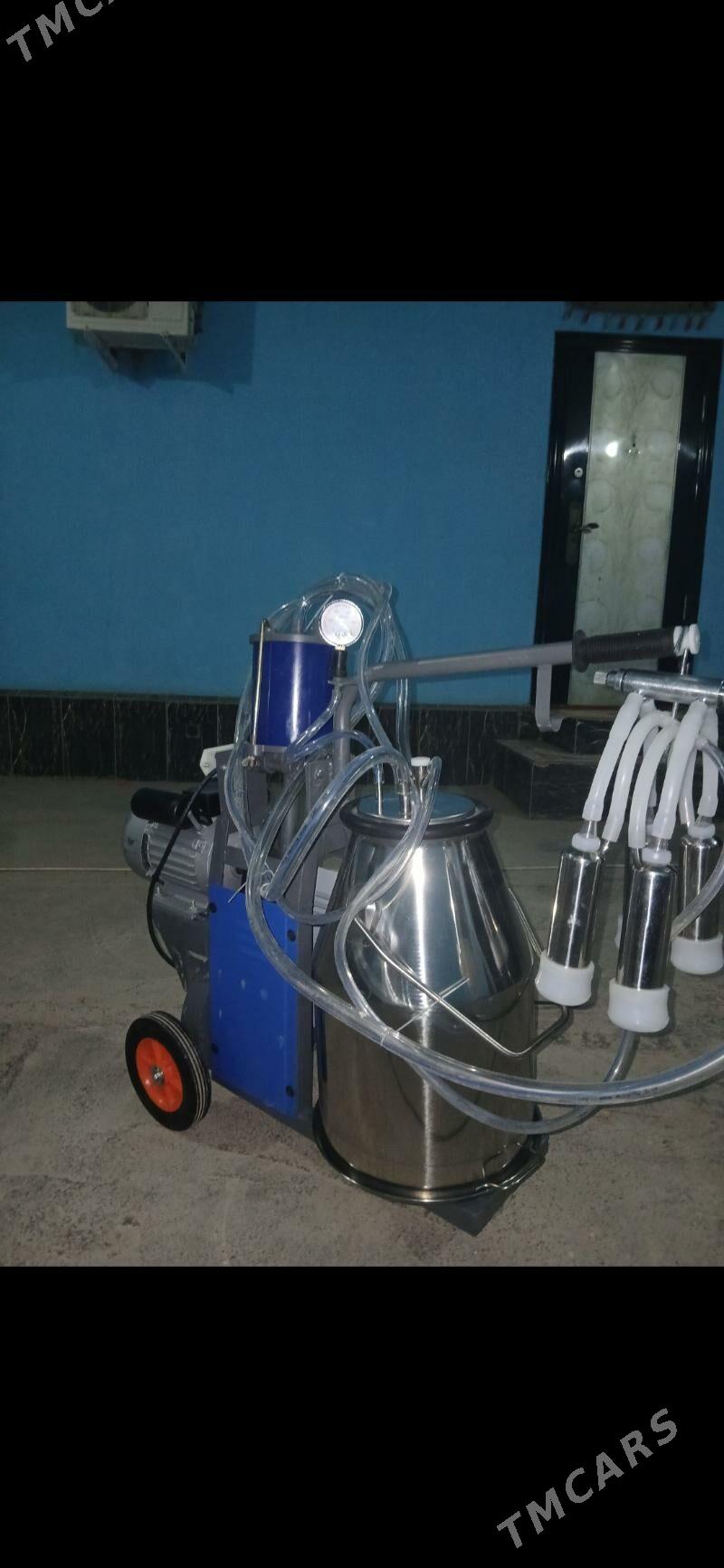 sygyr sagyan enjam - Достлук - img 5