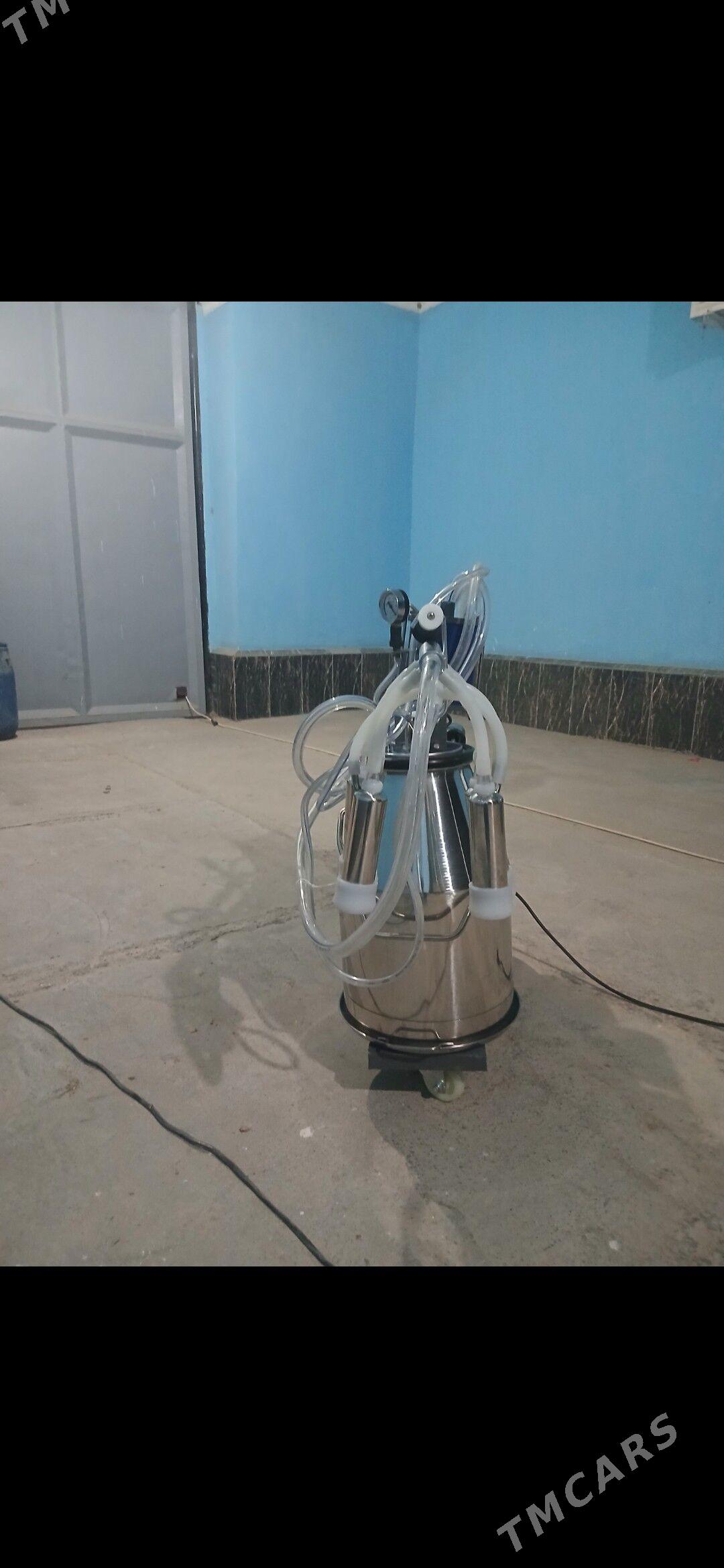 sygyr sagyan enjam - Достлук - img 4