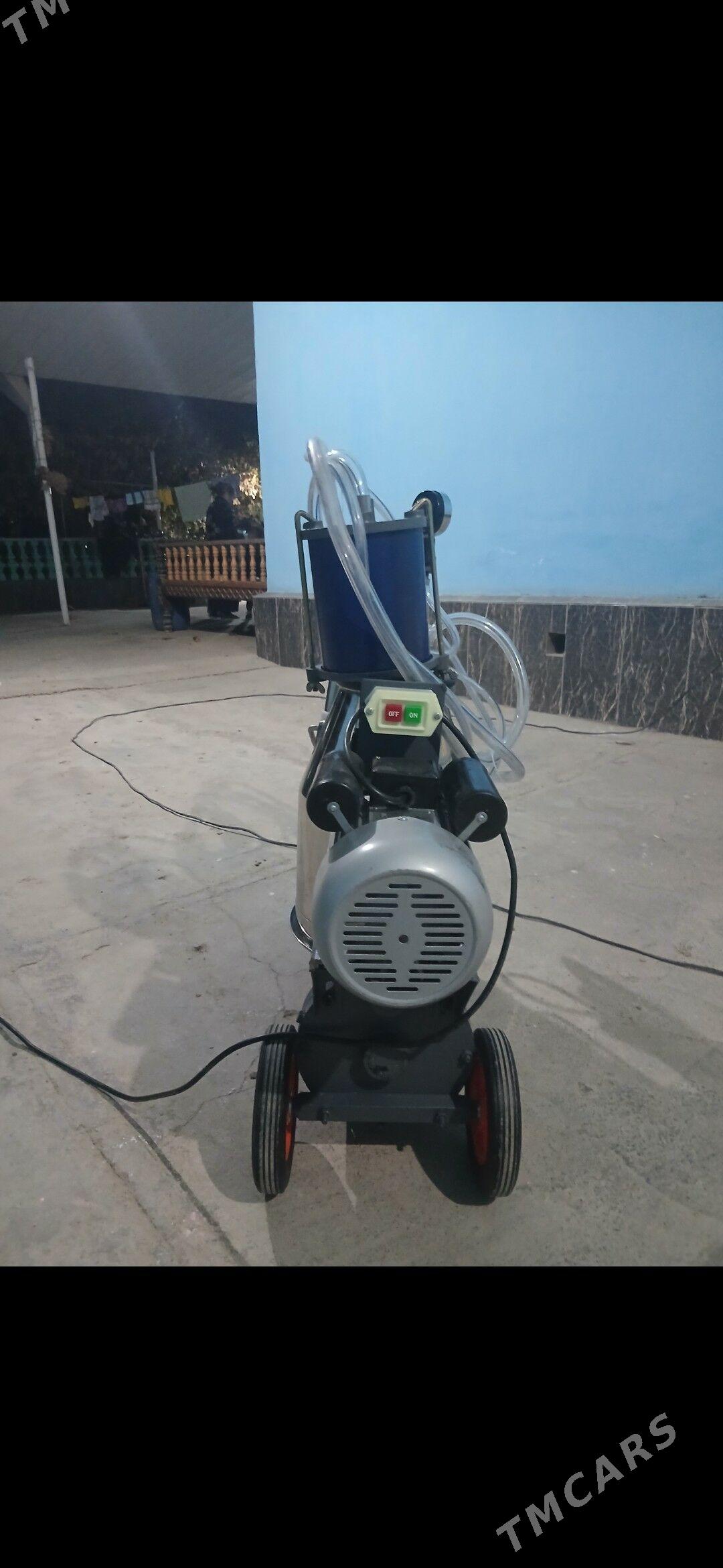 sygyr sagyan enjam - Достлук - img 3