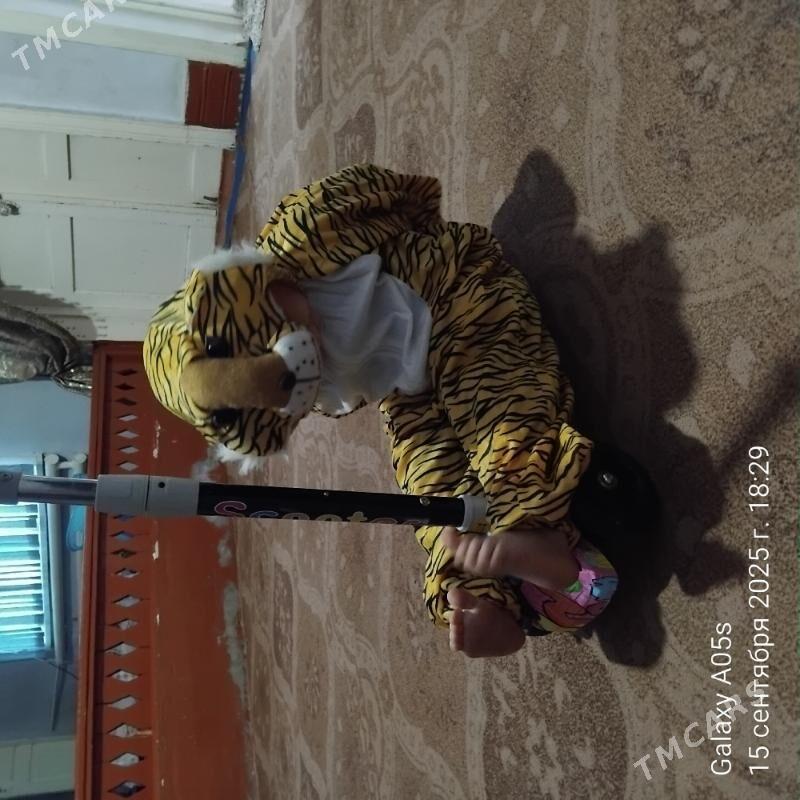 Täze ýyl haýwan eşik - Daşoguz - img 1