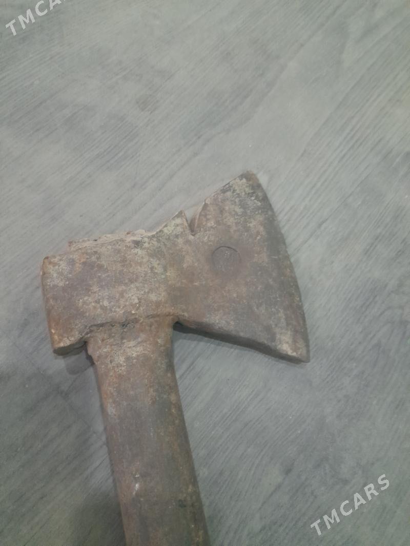 Palta - Анев - img 1