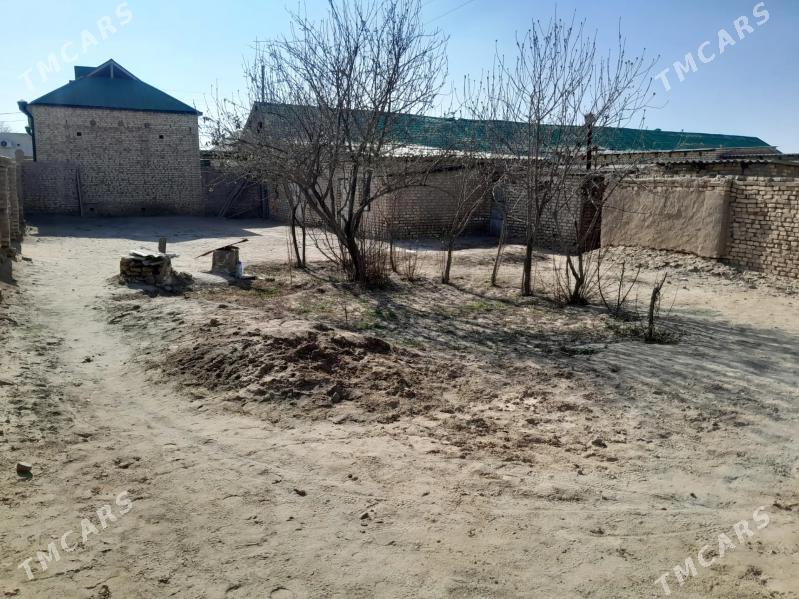 satlyk yer jay - Ёлётен - img 2