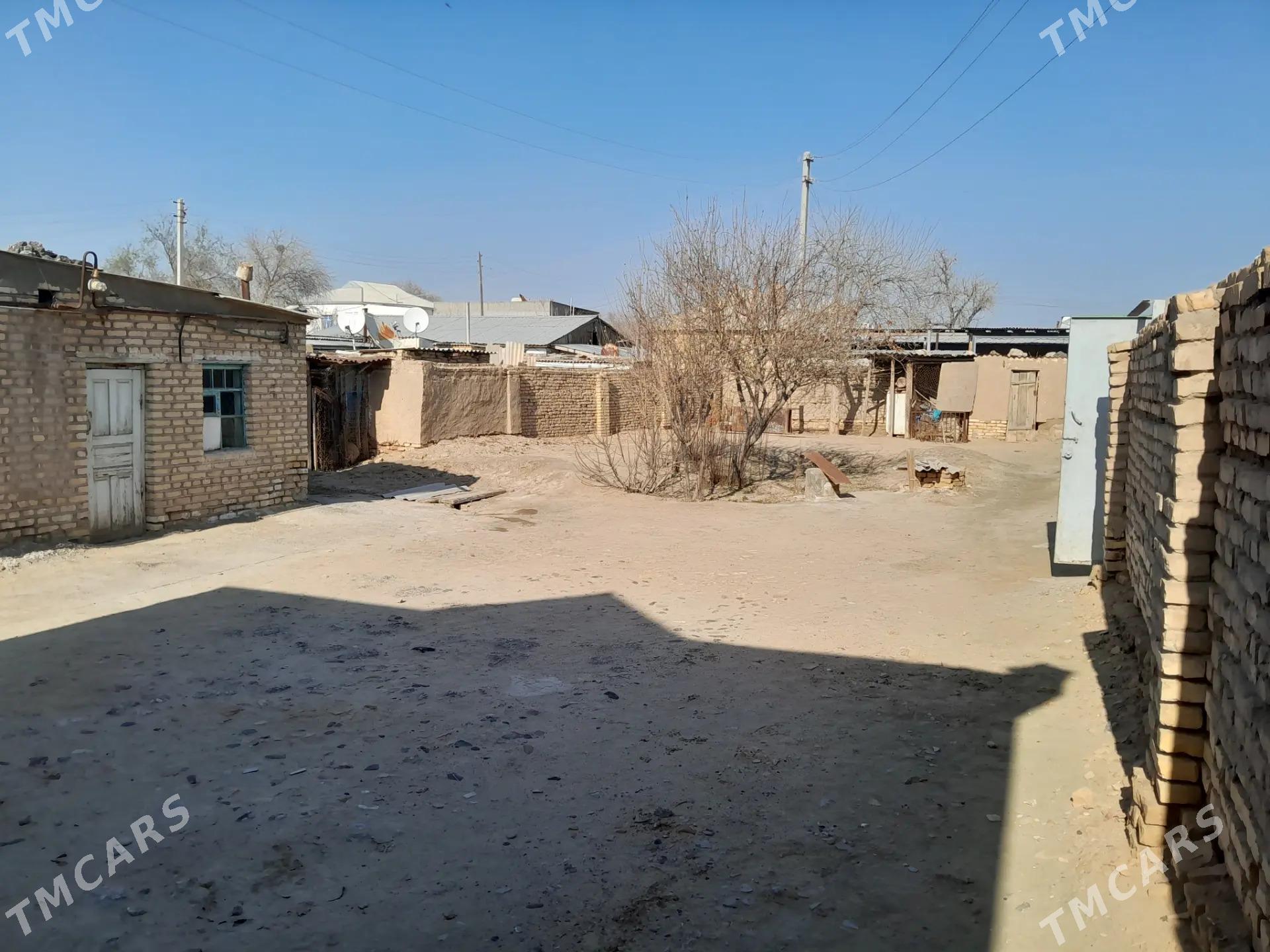 satlyk yer jay - Ёлётен - img 4