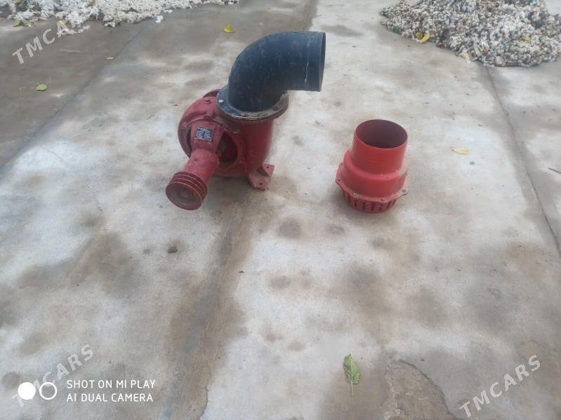 Pompa - Sakarçäge - img 3