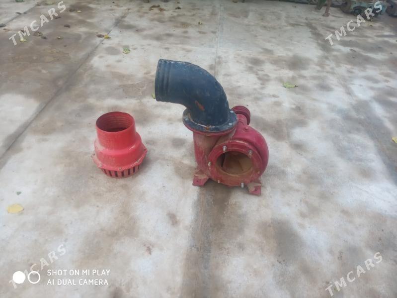 Pompa - Sakarçäge - img 2