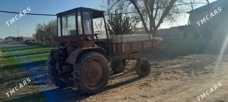 MTZ T-28 1992 - 12 000 TMT - Шабатский этрап - img 2