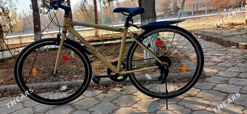 welik yapska - Şatlyk - img 2