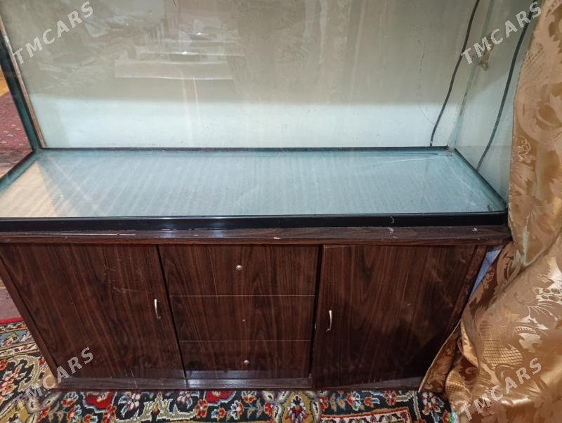 аквариум - Ашхабад - img 1