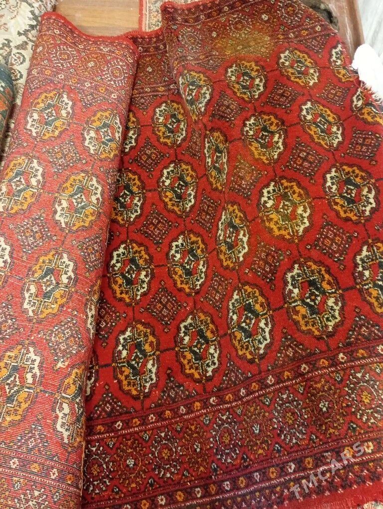 Haly - Гаудан "В" - img 3