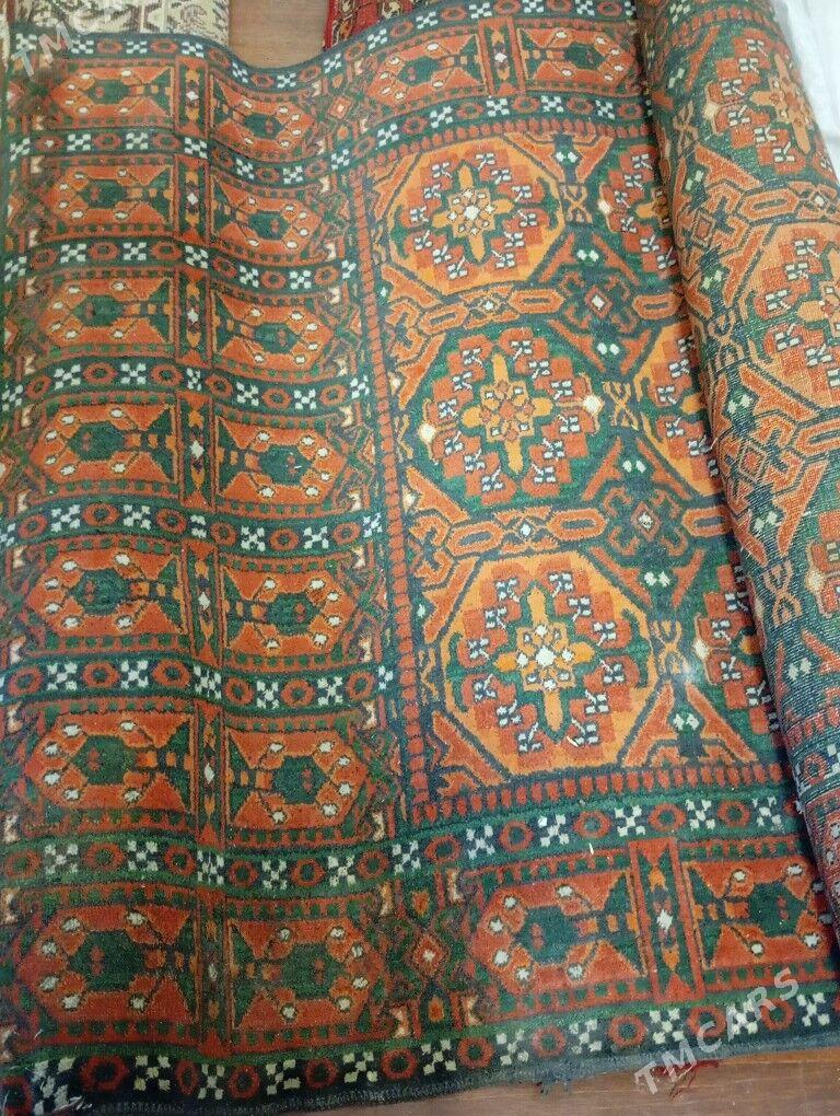 Haly - Гаудан "В" - img 4