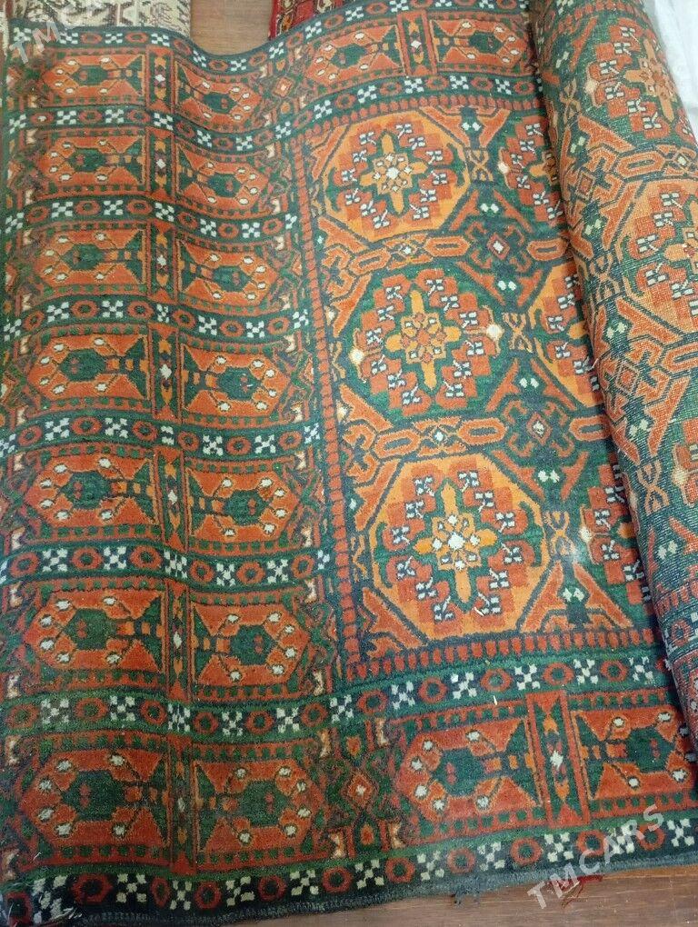 Haly - Гаудан "В" - img 5