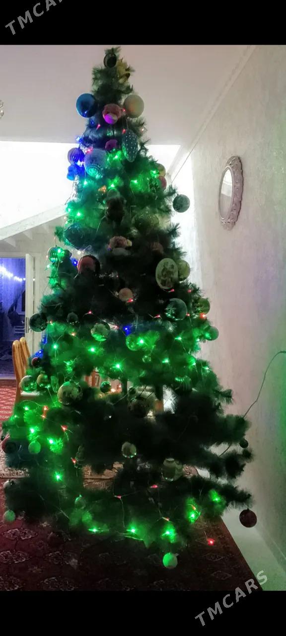 Arca ýolka - Baýramaly - img 3