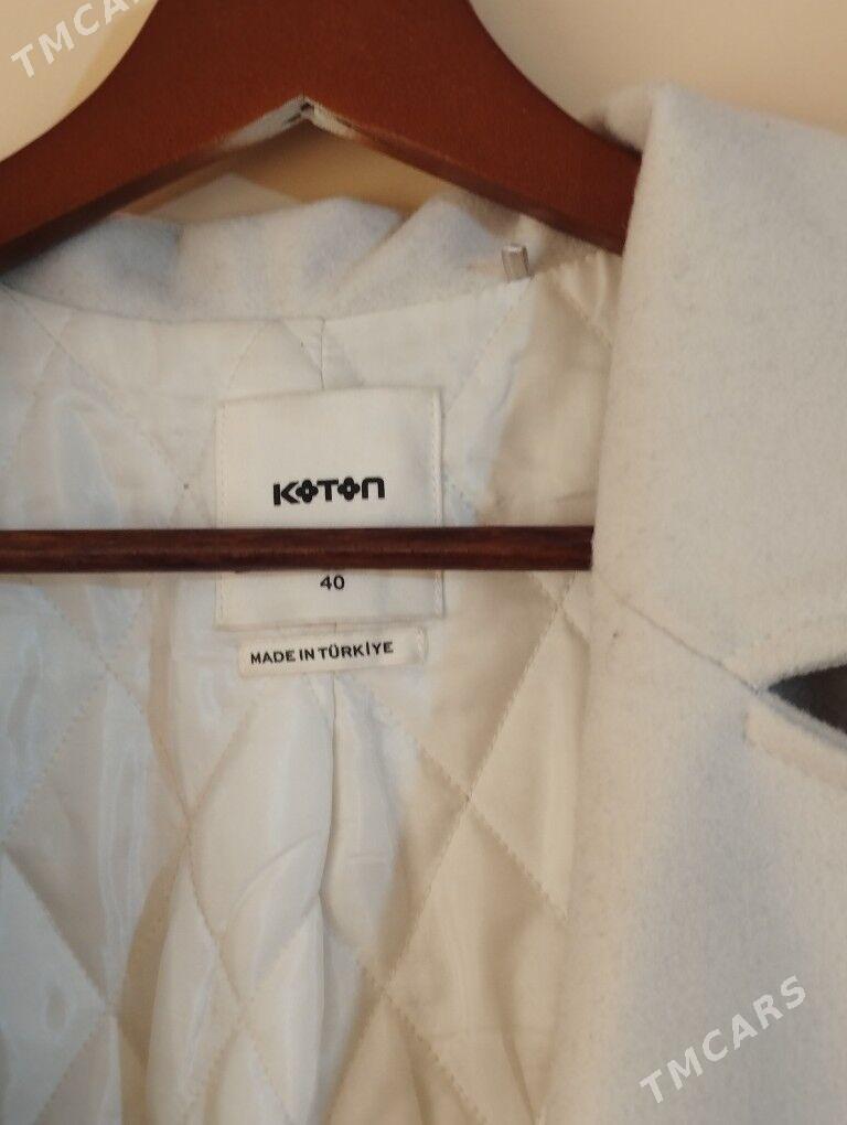 palto - Daşoguz - img 2