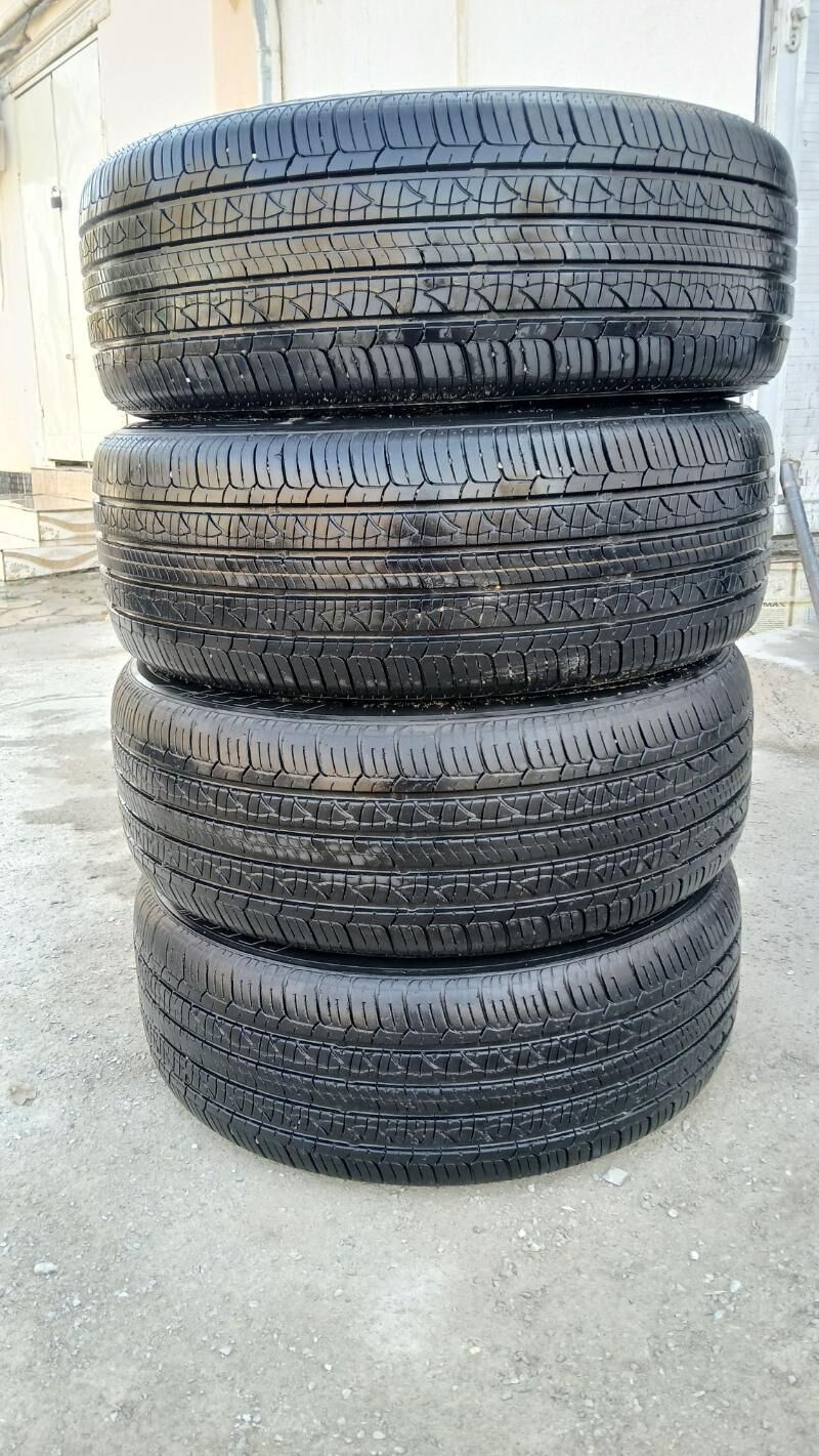 Diska pakyryska 17 4 500 TMT - Bedew - img 3