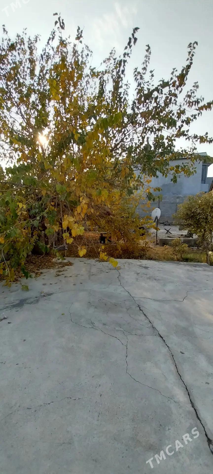 Чоганлы 8 сот 5 ком - Çoganly - img 2