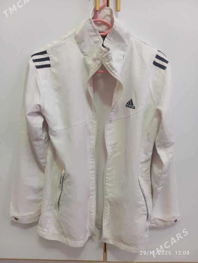 spartiwka - Туркменбаши - img 2