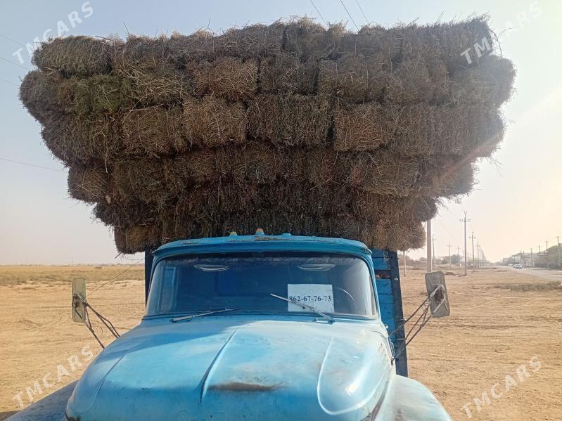 Yandak - Ашхабад - img 5