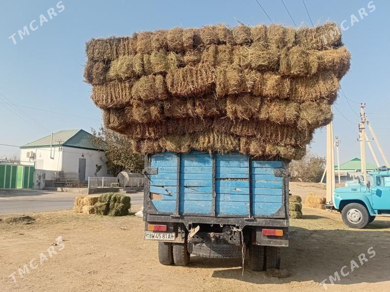 Yandak - Ашхабад - img 3