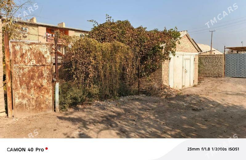 Baýramaly jay Niýazow şaýoly - Байрамали - img 8