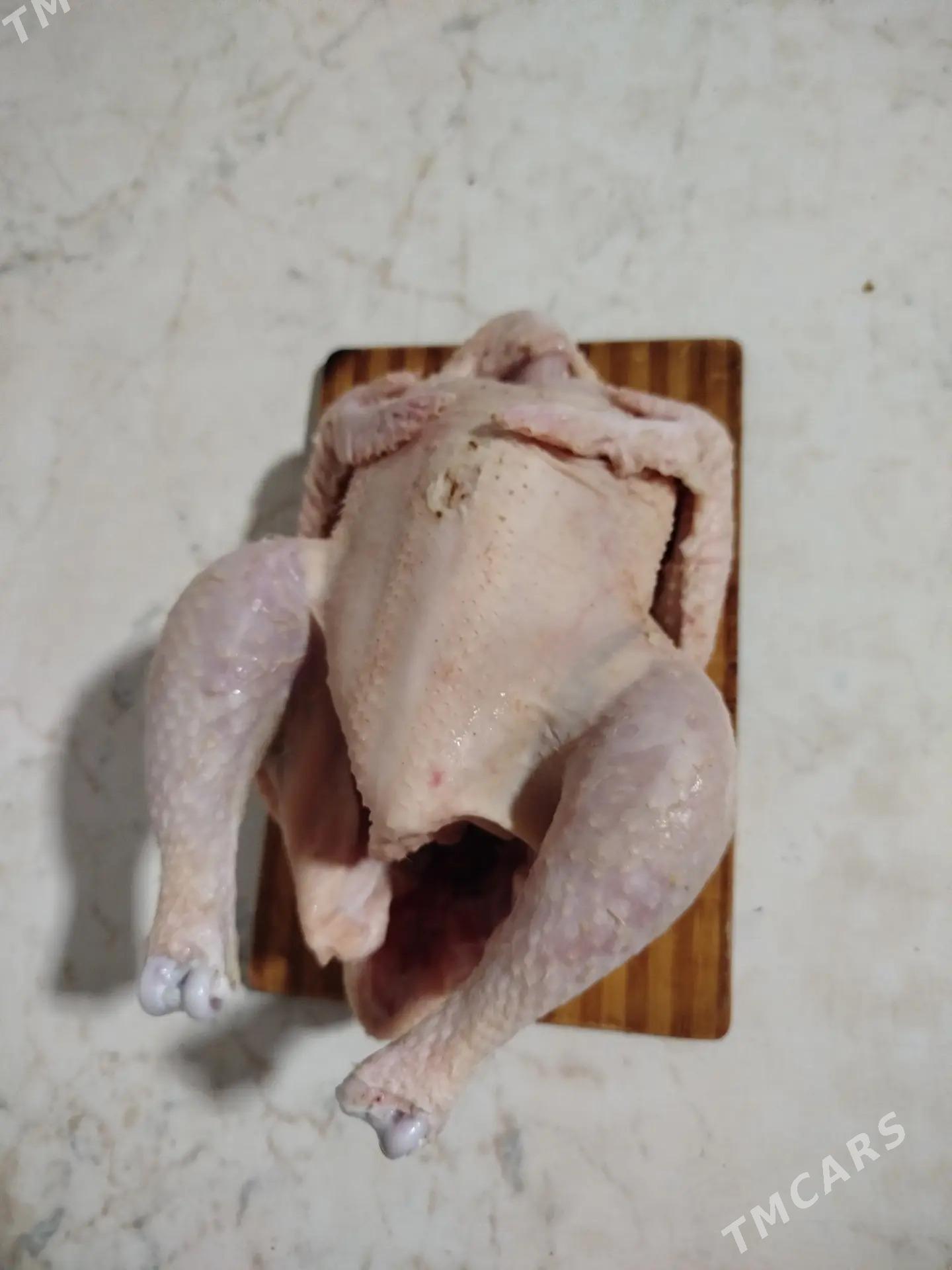 towuk.товук - Daşoguz - img 3