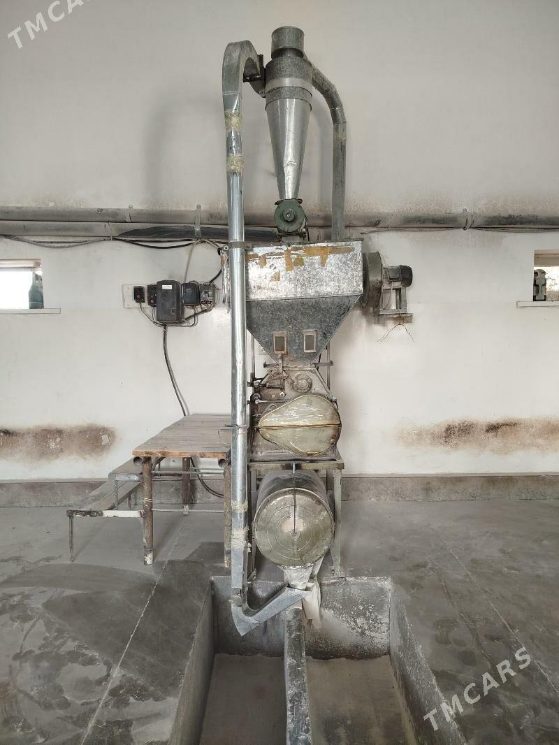 Un Haraz 40 lyk - Mary - img 3