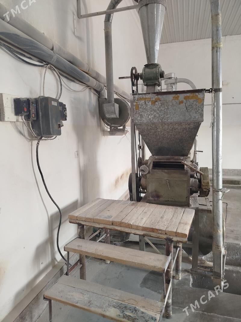 Un Haraz 40 lyk - Mary - img 2