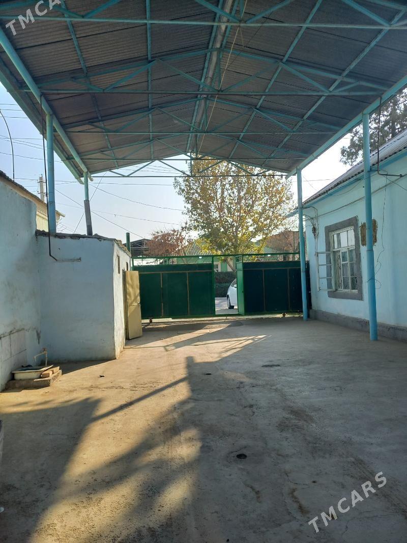 Buzmeyin 48.enkwede plan - Büzmeýin - img 3