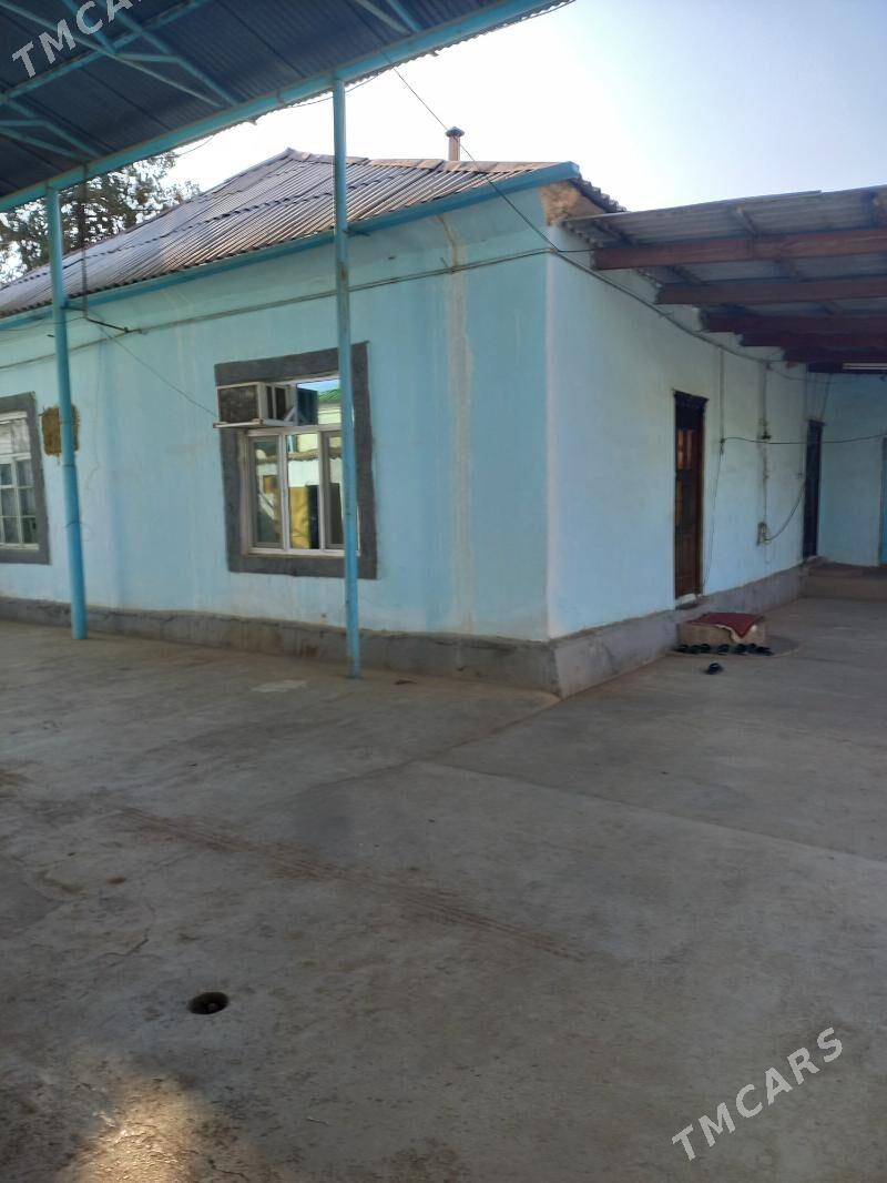 Buzmeyin 48.enkwede plan - Büzmeýin - img 6