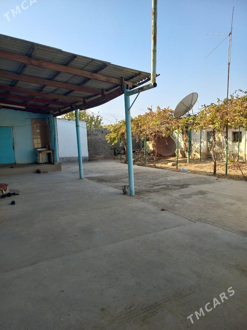 Buzmeyin 48.enkwede plan - Büzmeýin - img 5