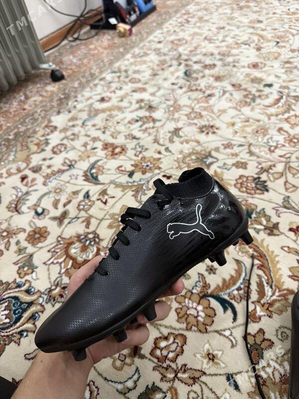 Puma butsy - Kim raýon - img 1