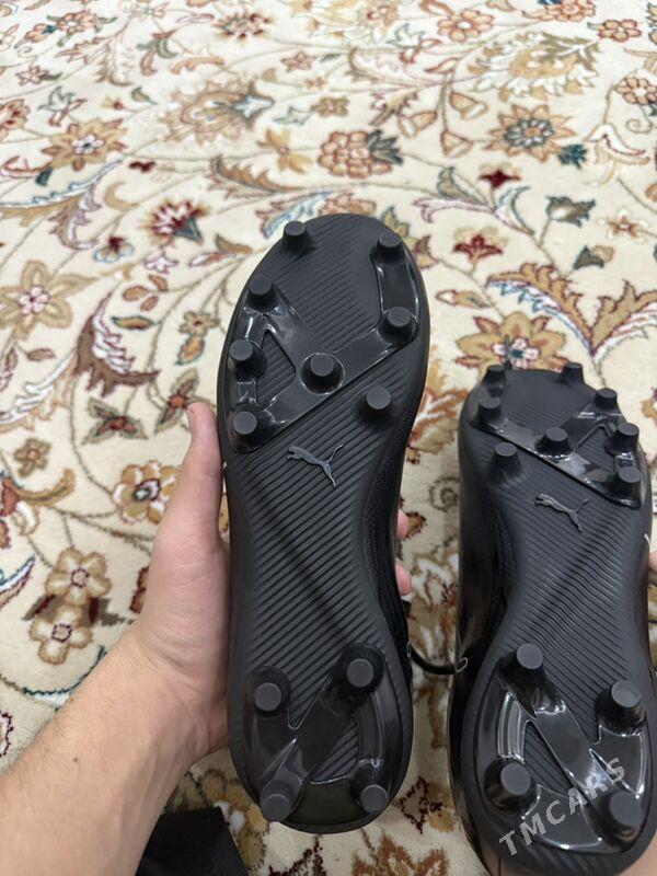 Puma butsy - Kim raýon - img 5