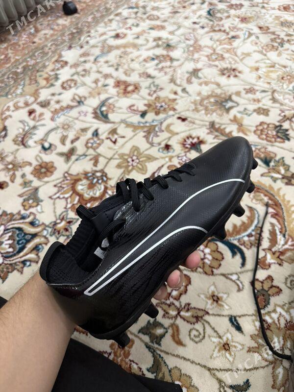 Puma butsy - Kim raýon - img 2